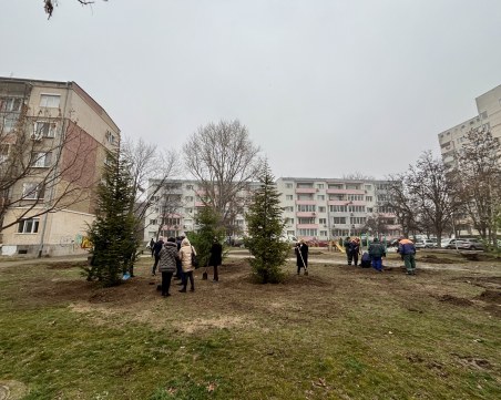 Залесителната кампания в район „Южен