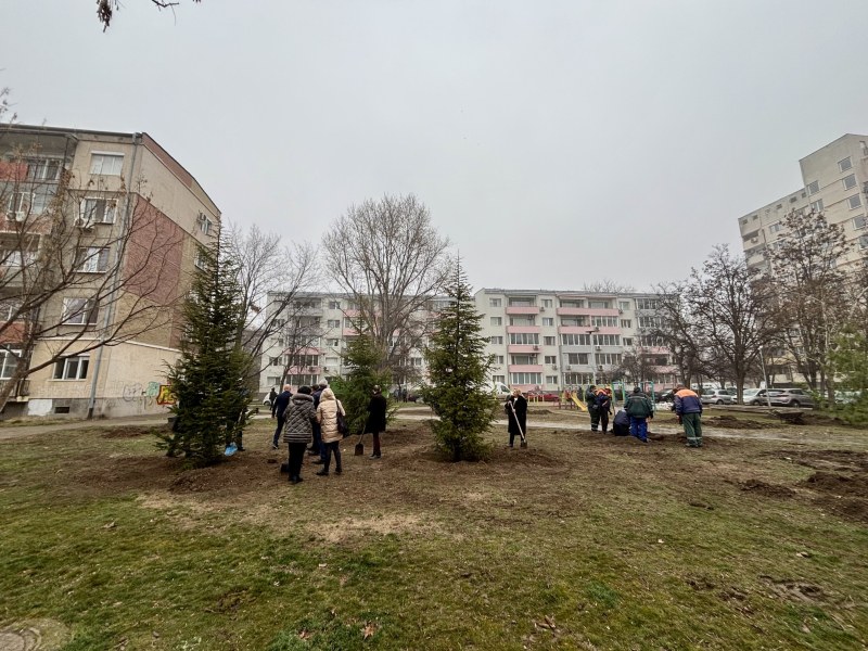 Залесителната кампания в район „Южен