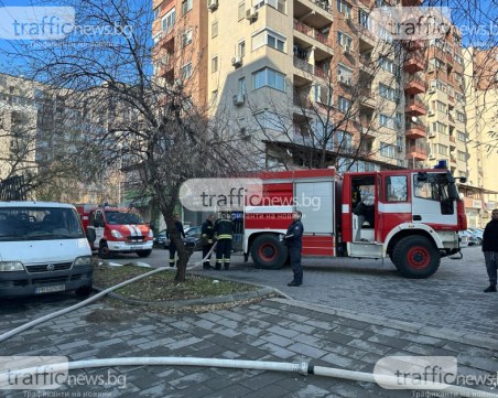 83 пожара за денонощие у нас, огнеборците са се включили и в 30 спасителни акции