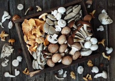 Ядливите гъби могат да се използват за регулиране на кръвната