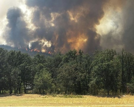 Горски пожар засегна 15 окръга на Румъния, има загинали