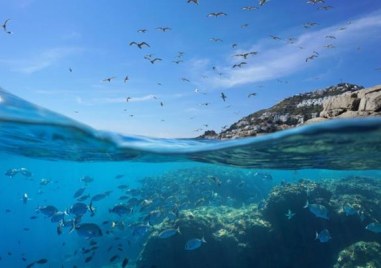 Нивото на Световния океан през 2024 г се е покачило