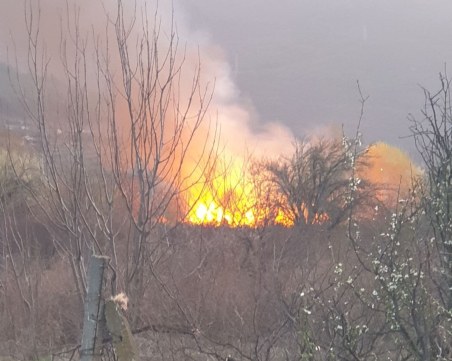 Пожарната и полицията в Пловдив започват проверки заради зачестили пожари на открито