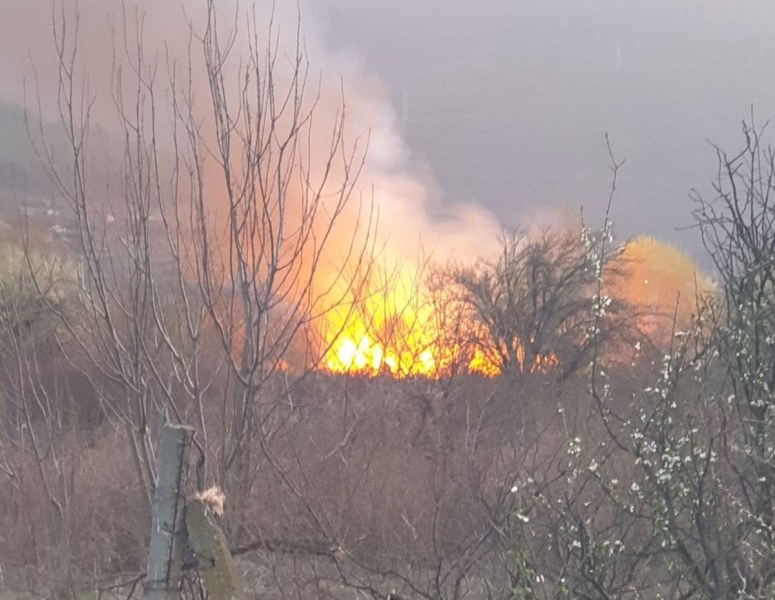 Пожарната и полицията в Пловдив започват проверки заради зачестили пожари на открито