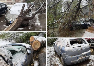 Априлският сняг който падна преди броени дни успя да нанесе