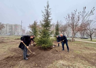 Пролетната залесителна кампания в Пловдив завърши успешно с 440 новозасадени