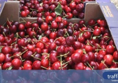 Стряскащи цени по пазарите у нас Цената на черешите удари