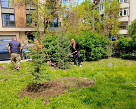 Зелената вълна в „Северен
