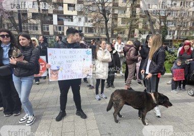 Протест във Варна: Активисти искат зоополиция заради зачистилите престъпения срещу животни