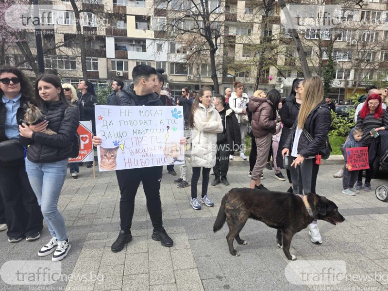 Протест във Варна: Активисти искат зоополиция заради зачистилите престъпения срещу животни