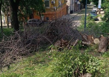 Започва почистване на Сахат тепе
