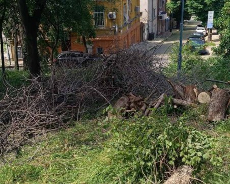Започва почистване на Сахат тепе