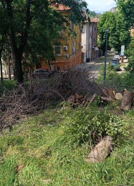 Започва почистване на Сахат тепе