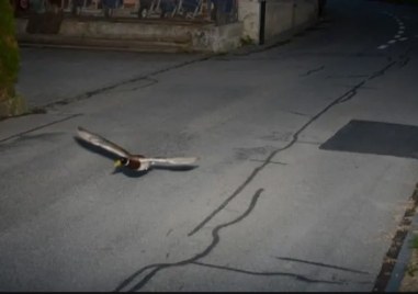 Радарна снимка на нарушител на скоростта заснета миналия месец в централна