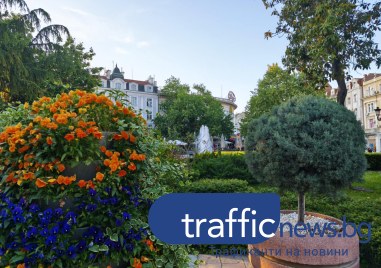 Жълт код за силен вятър в Пловдив! През деня - предимно слънчево и с температури до 20 градуса