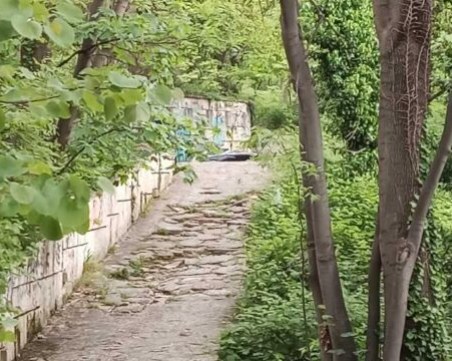 Откриха труп в Морската градина във Варна