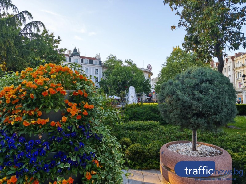 Жълт код за силен вятър е обявен в 17 области на страната,