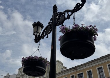 Централната пешеходна зона на Пловдив радва минувачите с нова пролетна