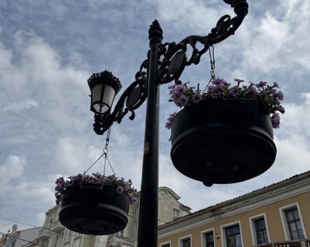 Стотици цветя преобразиха централната пешеходна зона на Пловдив ГАЛЕРИЯ