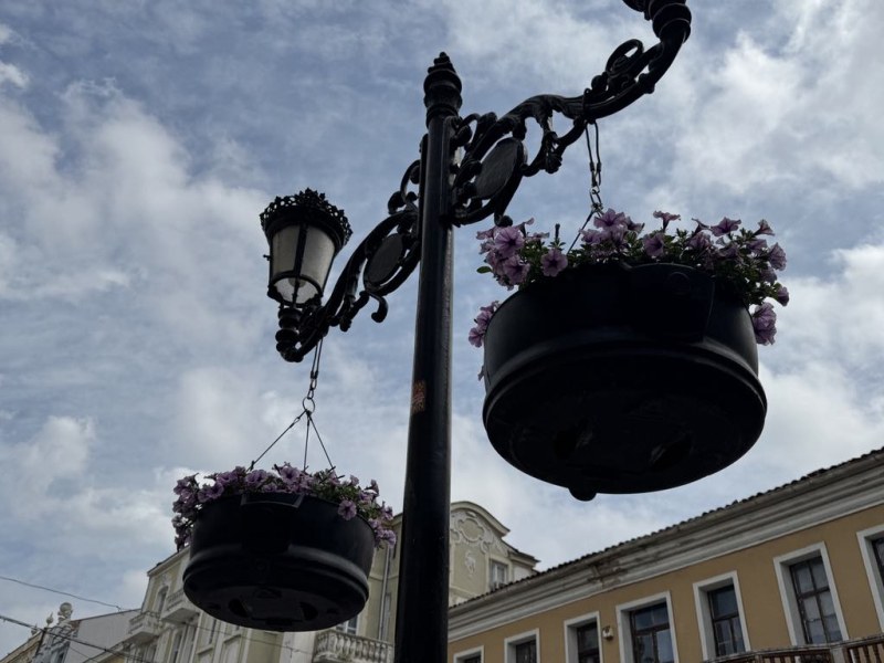 Стотици цветя преобразиха централната пешеходна зона на Пловдив ГАЛЕРИЯ