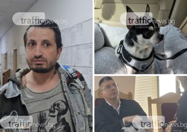 Край на казуса Мауси! Собственикът Тодор Чолаков обвини НПО в кражба, не бил насилвал кучето