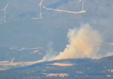 Горски пожар избухна в залесен район на област Рицона в