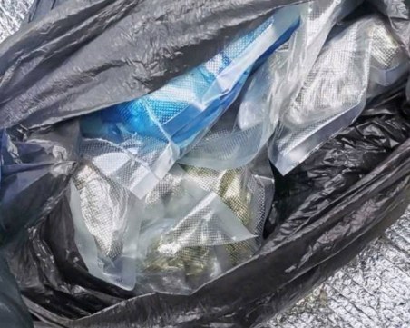Заловиха близо половин килограм марихуана и известно количество метамфетамин в Пловдив