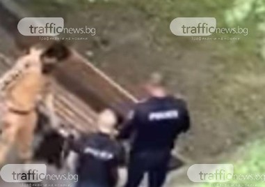 След публикация на TrafficNews: Мъжът с непристойно поведение край пловдивско училище е задържан