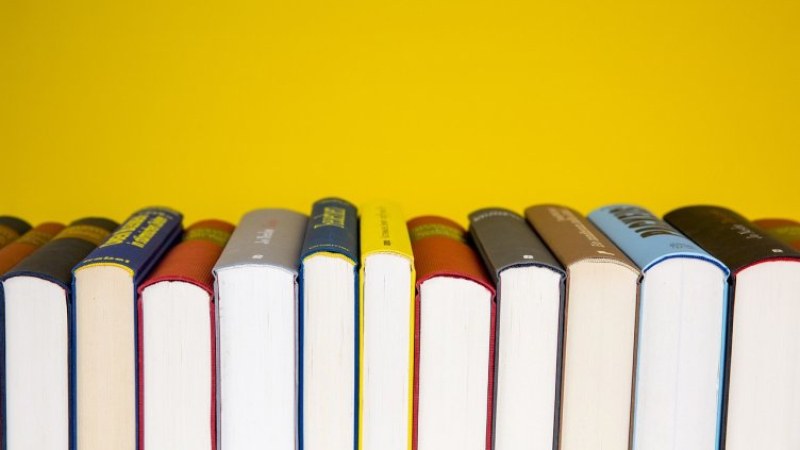 Американски вестници препоръчаха 15 летни четива, но само пет книги бяха истински