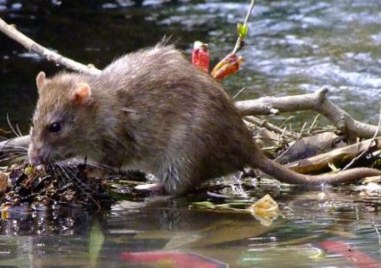 Десет души са приети в Клиниката по инфекциозни болести в