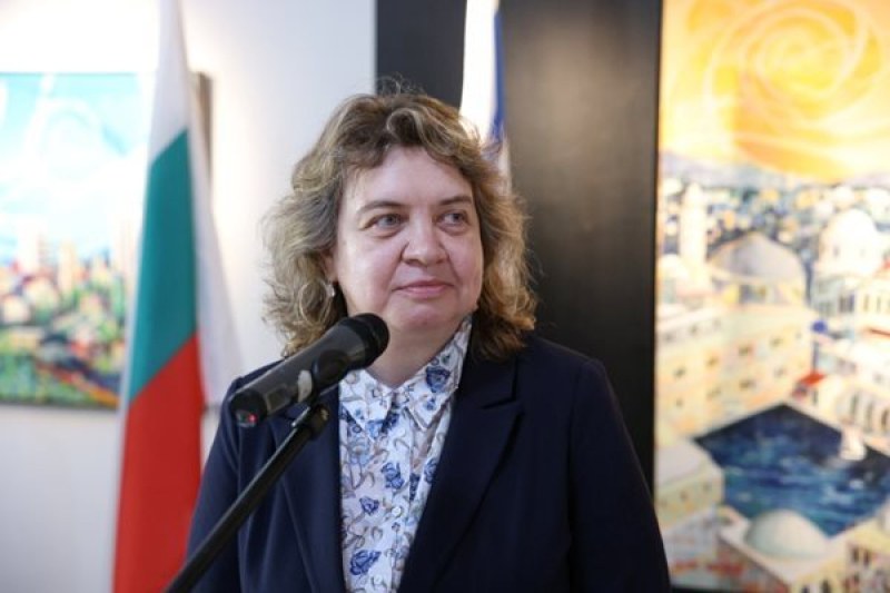 Наталия Киселова: Според мен КС ще допусне частично искането на президента Радев