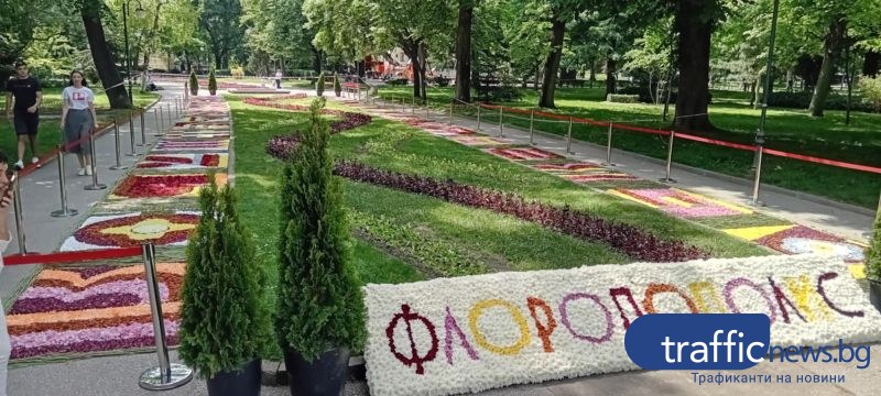 Цветна азбука разцъфна в сърцето на Пловдив за 24 май
