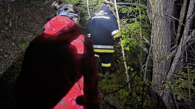 Доброволци от няколко различни формирования откриха тялото на издирван мъж