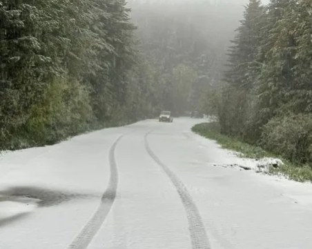 Сняг през май: Витоша, Батак и Родопите са покрити в бяло