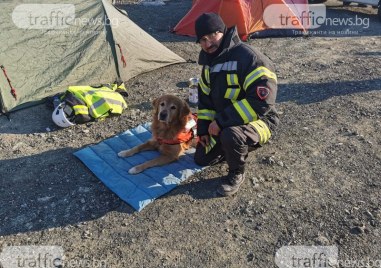 Почина легендарното куче Килиан, открило 18 души след трусовете в Турция