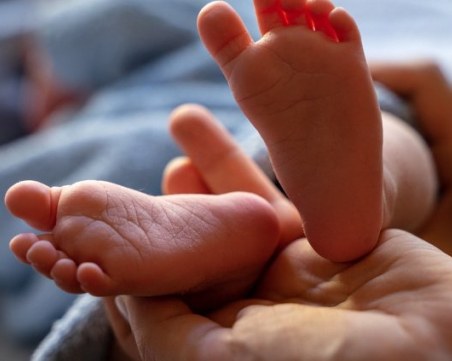 Ще забранят на японците да си кръщават децата Пикачу, Пудинг...