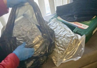 ГДБОП арестува четирима от ОПГ за отглеждане, производство и разпространение на наркотици