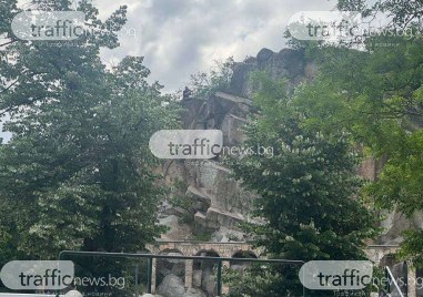 Пореден случай на опит за самоубийство в Пловдив научи TrafficNews