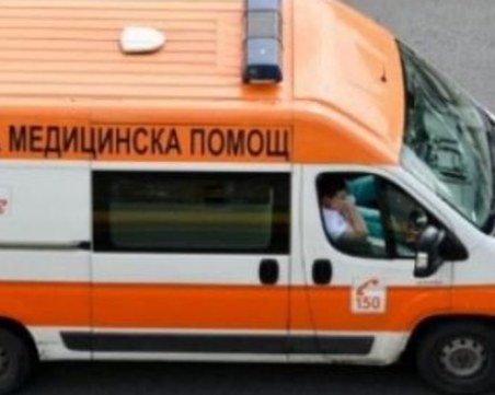 Откриха прегазен възрастен мъж край Видин, издирват шофьора