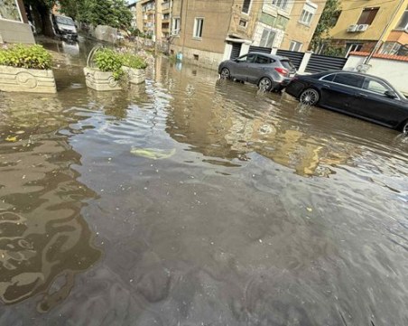 Улици в Пазарджик се наводниха след 10-минутен обилен дъжд, дърво падна в двор на училище