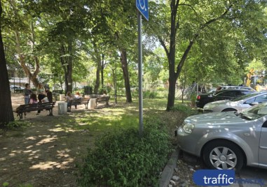 Кметът спря сечта в междублоково пространство в Пловдив, готвено за застрояване