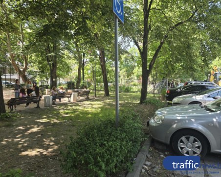 Кметът спря сечта в междублоково пространство в Пловдив, готвено за застрояване