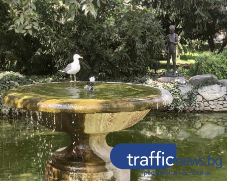 Топла и слънчева сряда в Пловдив, температурите скачат до 33 градуса