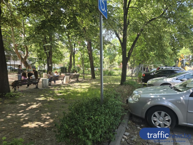 Кметът спря сечта в междублоково пространство в Пловдив, готвено за застрояване