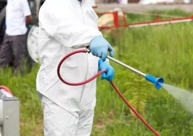 Продължават дейностите по дезакаризация в Пловдив информират от Общинско предприятие