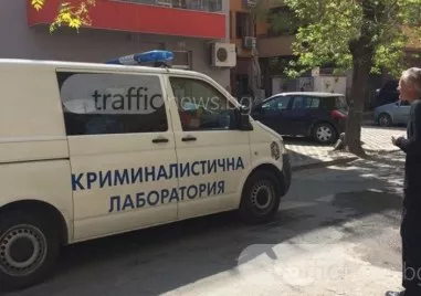 От обиди до линейка: Сбиване в пловдивски парк вдигна полицията на крак