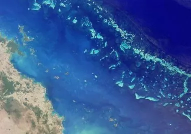 На този ден: Английският мореплавател Джеймс Кук открива Големия бариерен риф край Австралия