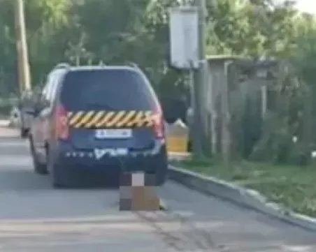 Почина кучето, вързано и влачено до кръв от стопанина си с кола само защото било мръсно