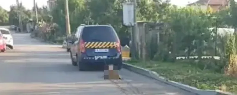 Почина кучето, вързано и влачено до кръв от стопанина си с кола само защото било мръсно