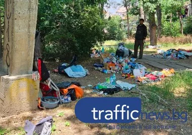 Един от емблематичните природни символи на Пловдив – Младежкият хълм